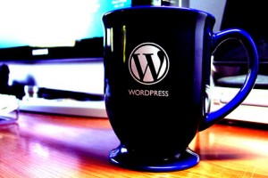 Wordpresscom vs WordPress.org